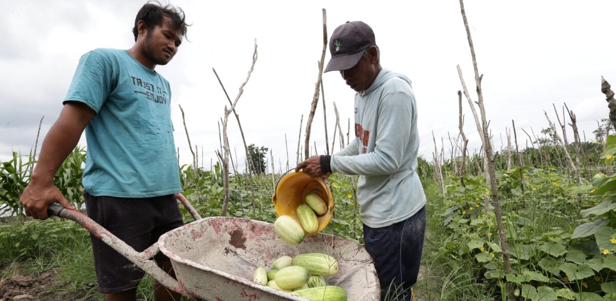 Pelajaran dari Tiga Desa: Mewujudkan Lanskap Riau yang Berkelanjutan