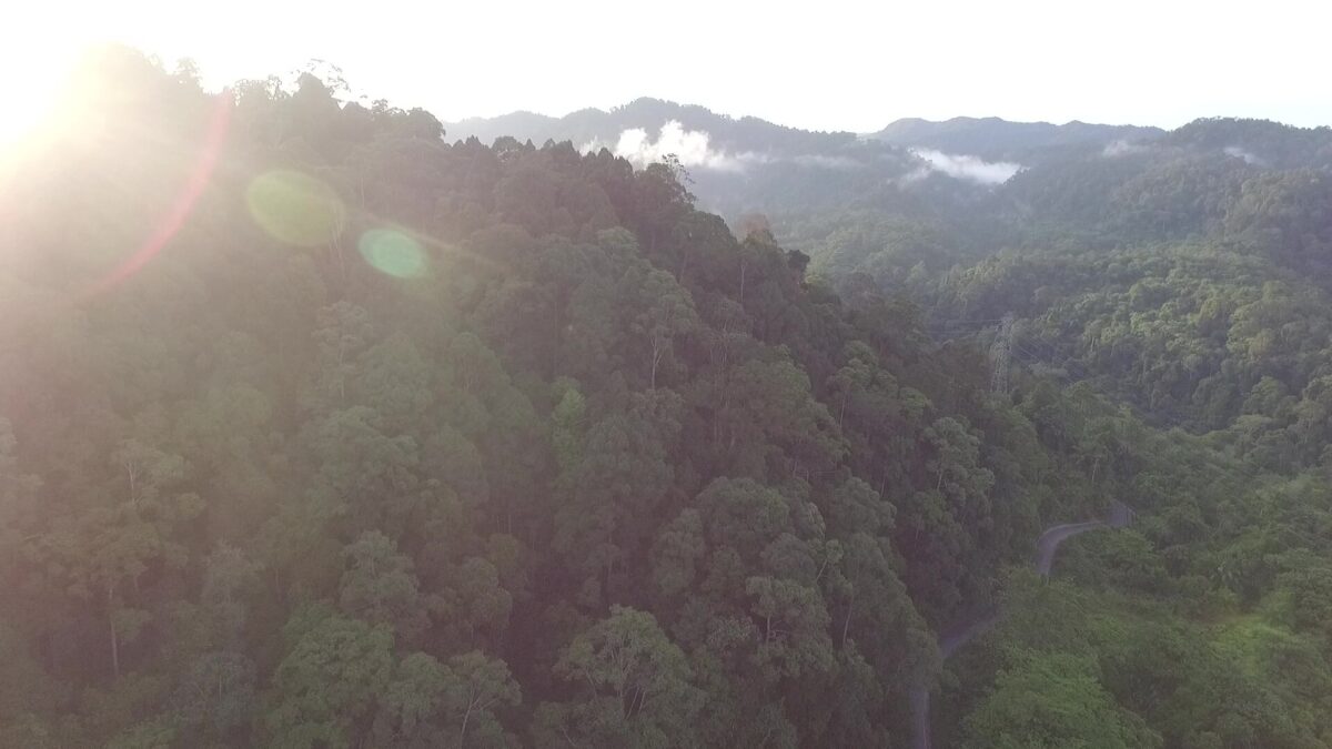 Mengatasi Perubahan Tata Guna Lahan di Indonesia – Proyek Daerah Aliran Sungai Leuser Alas-Singkil (LASR)