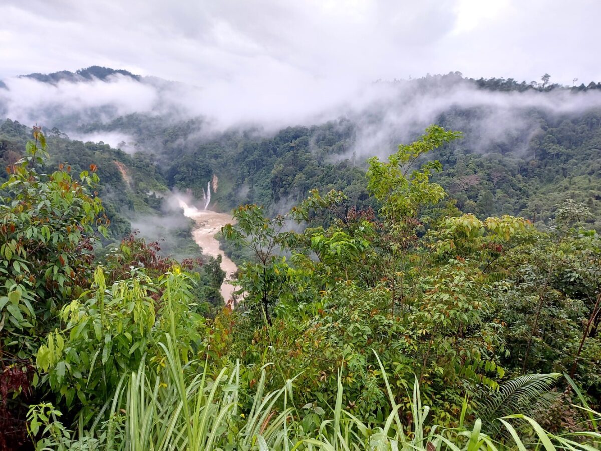 Transformasi Rantai Nilai Bahan Baku: Empat Pembelajaran dari Intervensi Lanskap di Indonesia