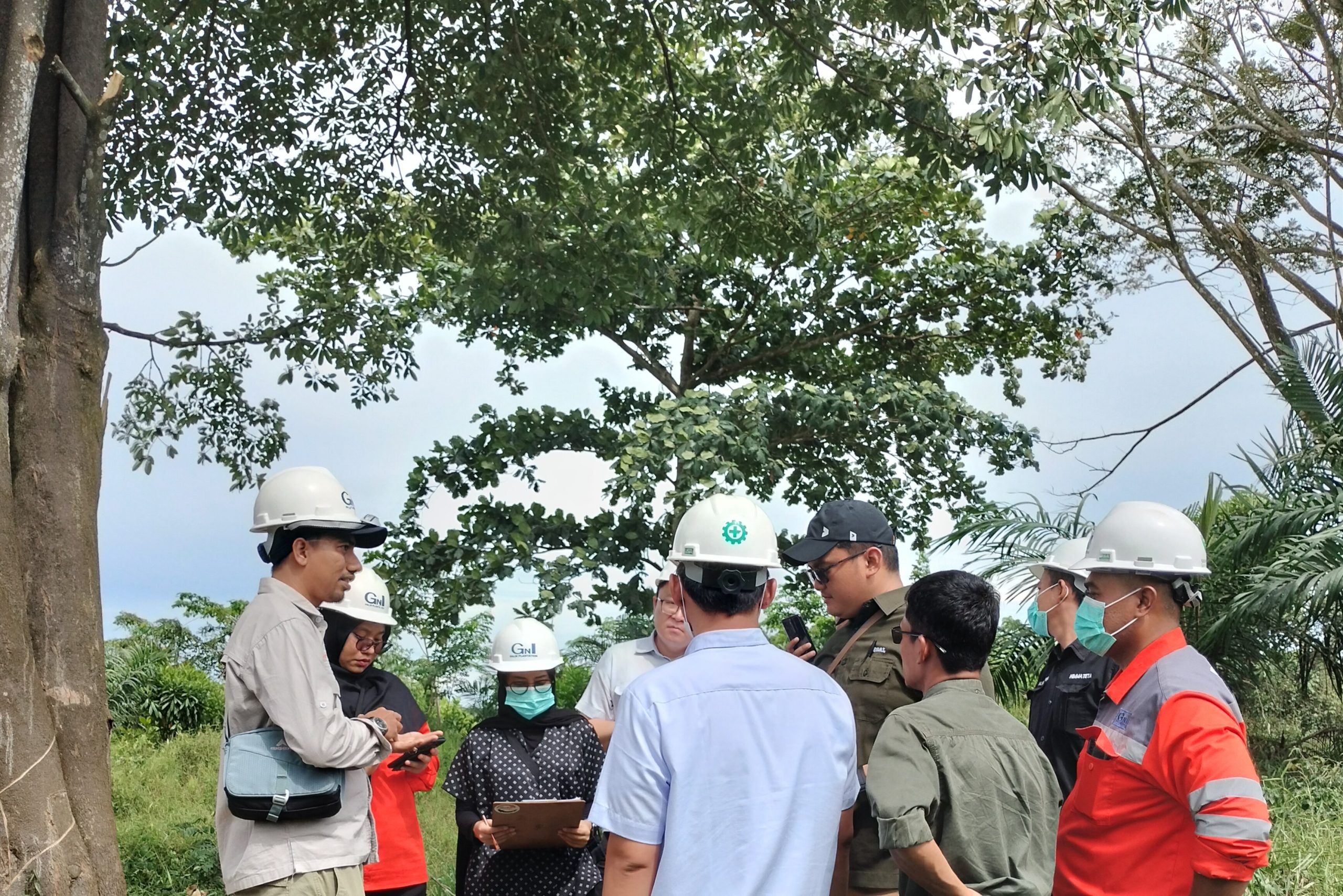 Meningkatkan Kapasitas Perusahaan Kelapa Sawit dalam Mengelola dan Memantau Nilai Konservasi Tinggi (NKT) dan Stok Karbon Tinggi (SKT)